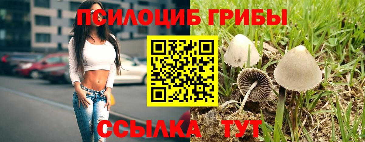 Зеленокумск  Галлюциногенные грибы GOLDEN TEACHER  Вход с VPN  Галлюциногенные грибы GOLDEN TEACHER 